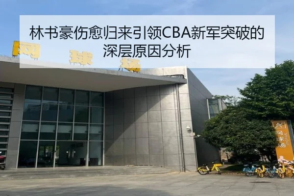林书豪伤愈归来引领CBA新军突破的深层原因分析