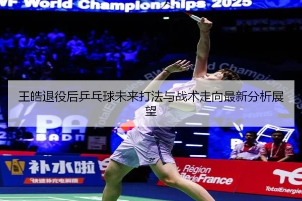 王皓退役后乒乓球未来打法与战术走向最新分析展望