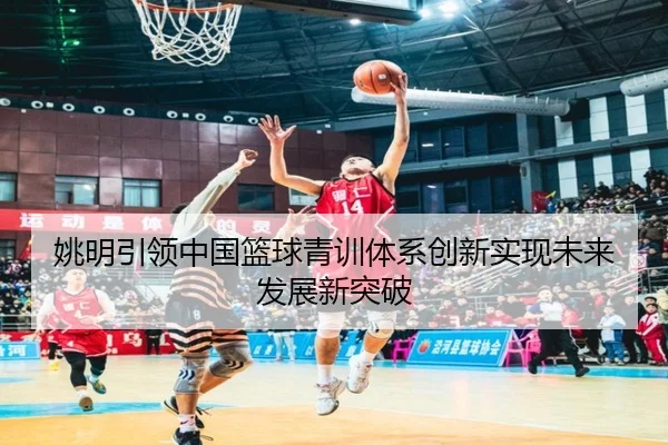 yao-ming-yin-ling-zhong-guo-lan-qiu-qing-xun-ti-xi-chuang-xin-shi-xian-wei-lai-fa-zhan-xin-tu-po-2-977.jpg
